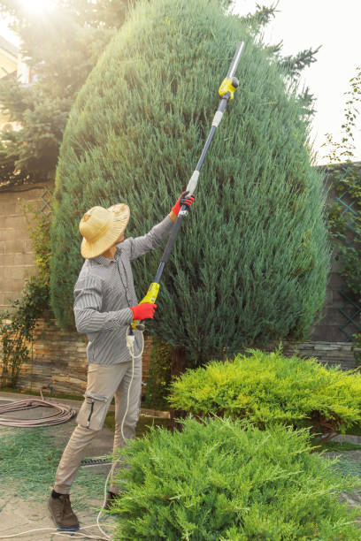 Lawn Watering Services in Skippers Corner, NC